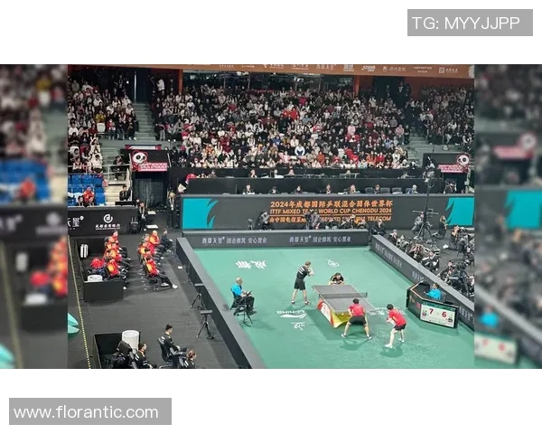 成都乒乓球队中路突破的成功与不足分析及未来发展建议