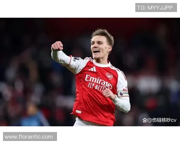 厄德高在国际赛场上的崛起与未来发展潜力分析