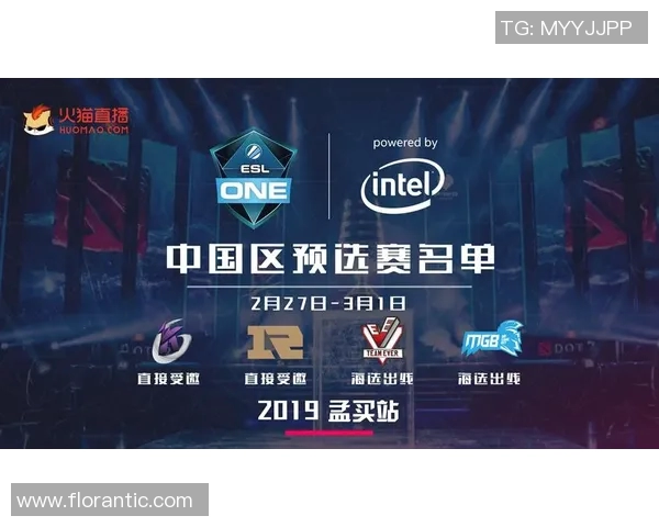 DOTA2专题：深入分析EDG战队在比赛中的策略与经验分享