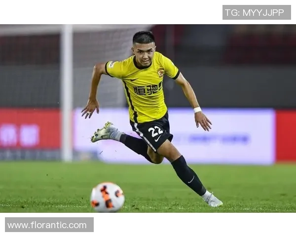 努涅斯在球场上的崛起与挑战：从新星到顶级前锋的奋斗历程