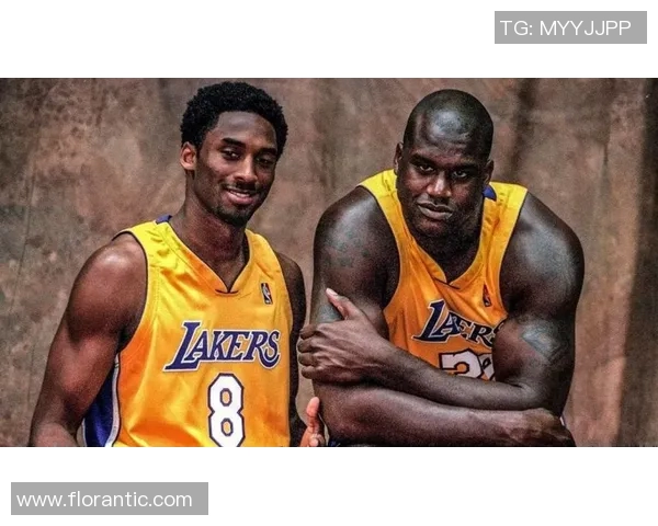 2001年NBA总决赛回顾魔术队与湖人队的激烈对抗与精彩瞬间