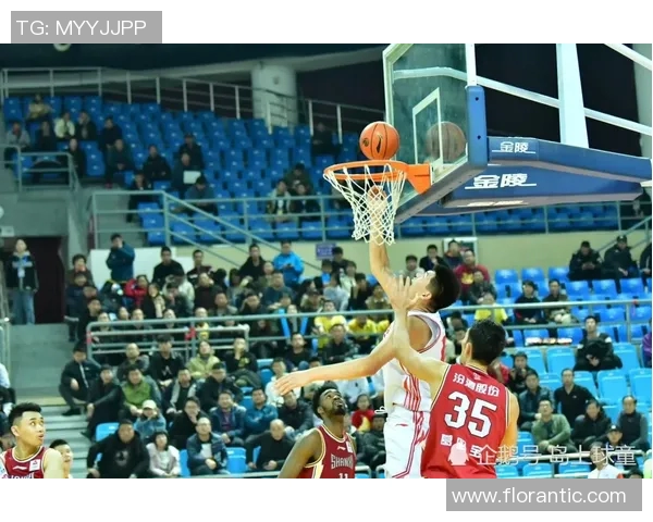 杭州篮球队运营体系中的战术创新与团队协作研究