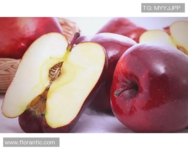 王秀英独家分享篮球心得与技巧助你提升球技的全面指南