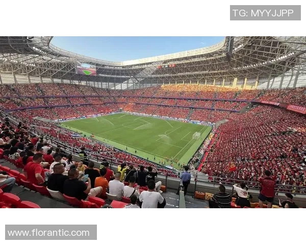 迈尼昂的崛起与挑战：从新星到足球世界的守护者之路